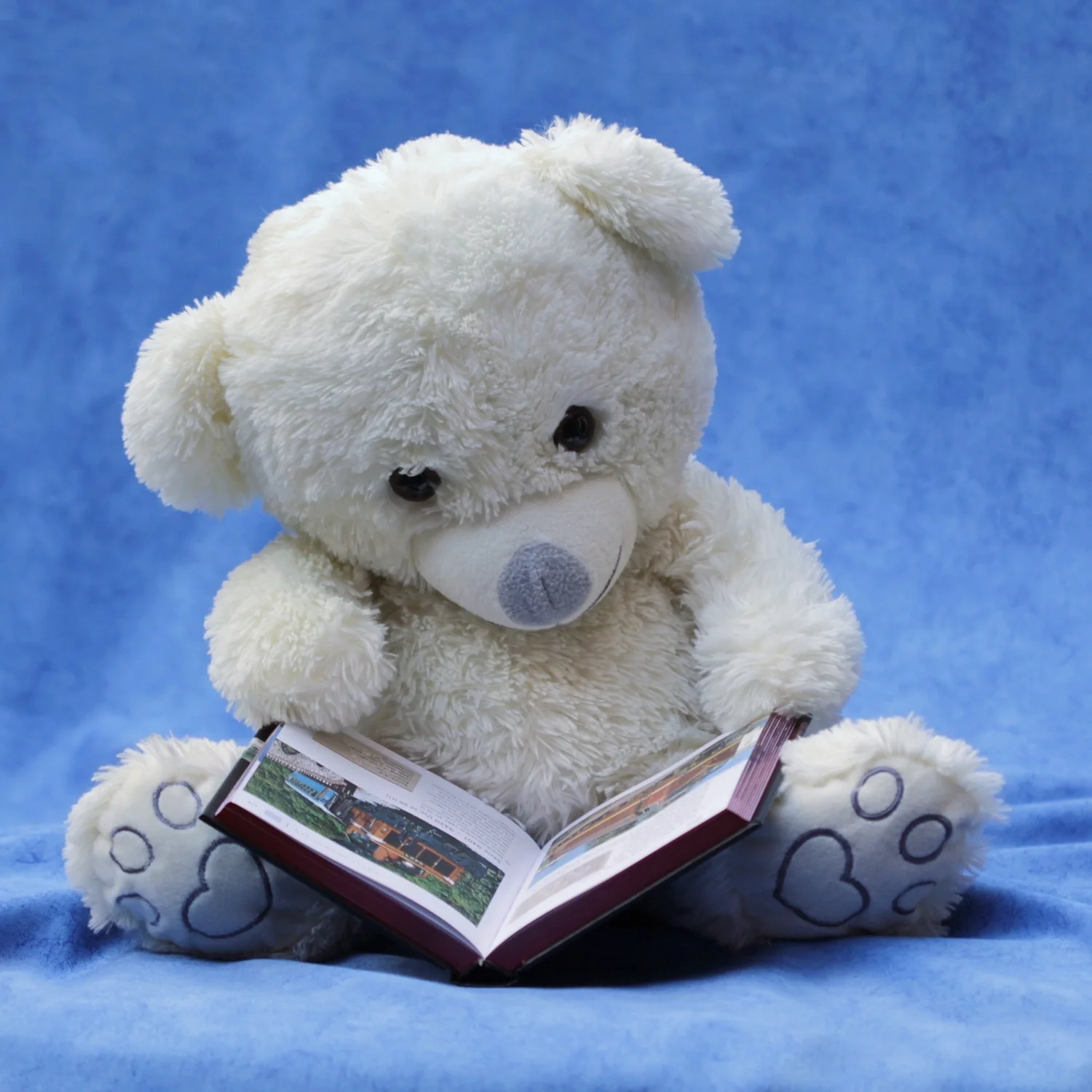 CFA® Program and the Challenge of Motherhood