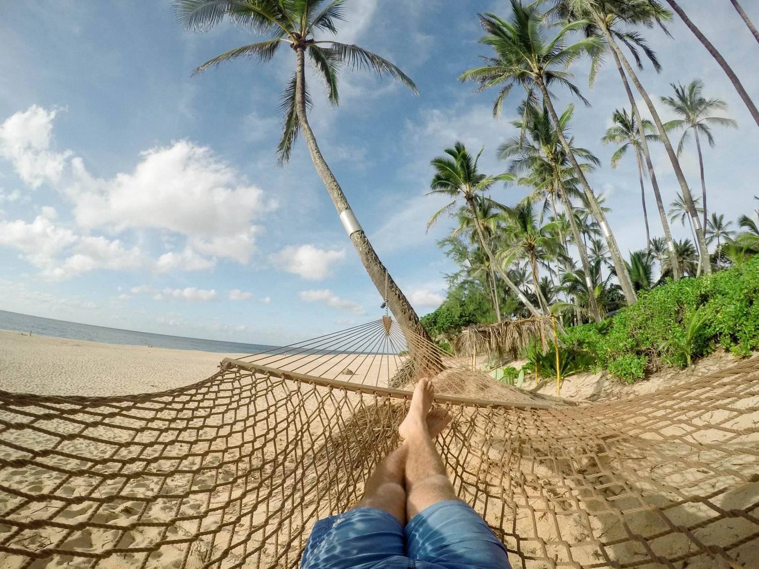 Passive Investing Is Dumb and Unethical…Or Is It?